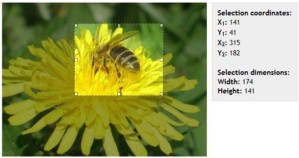 crop image and selection picture with jquery