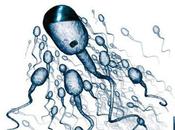 Publicité préservatifs s'ils avaient utilisé préservatif ....