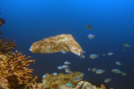 Week end a Ise (2/2) DSC_0156_1