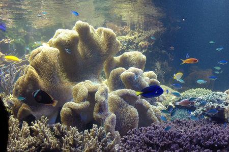 Week end a Ise (2/2) DSC_0151_1