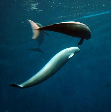 Week end a Ise (2/2) DSC_0160_1