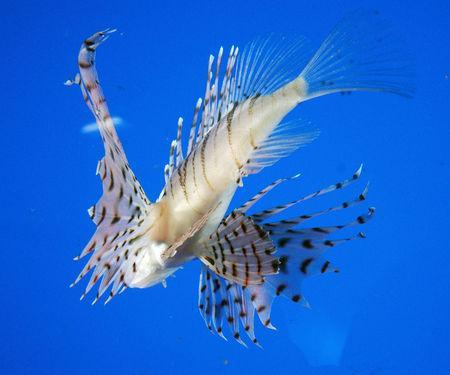 Week end a Ise (2/2) DSC_0153_1