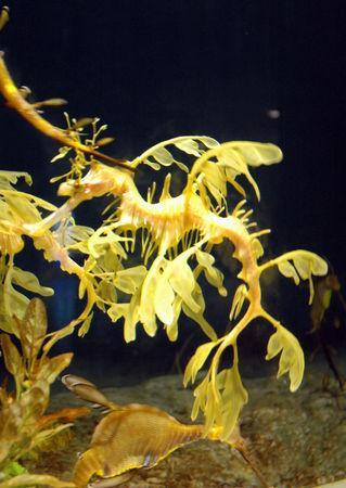 Week end a Ise (2/2) DSC_0189_1