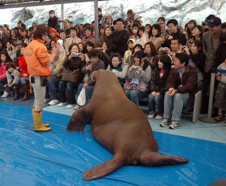 Week end a Ise (2/2) DSC_0166_1