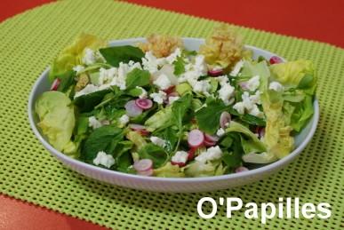 laitue-roquette-mesclun03.jpg