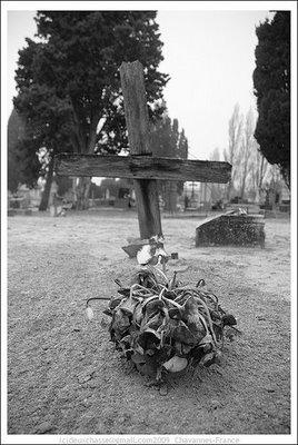 ..CIMETIEREjolies photos réalisées par 