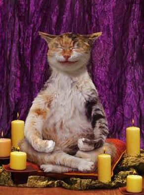 Mécontentement, tout va de travers