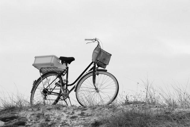 Escapade à l'Ile d'Yeu : les vélos