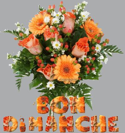 Blog de scootcesparti :amidespetitebêtes, bon dimanche