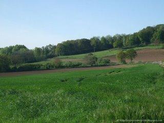 Retour de vacances, le bonheur...