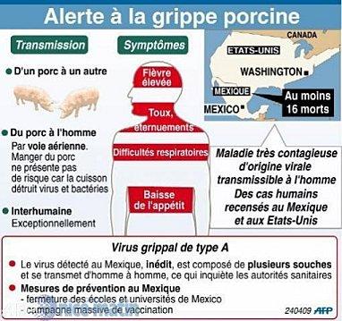 La grippe porcine