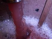 L’élaboration rosé manuel pédagogique destination législateurs européens