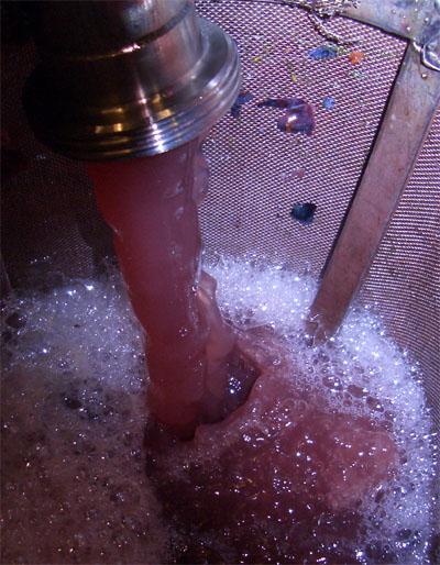 L’élaboration du vin rosé : rmanuel pédagogique à destination des législateurs européens