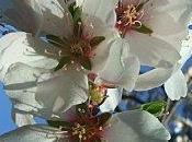 Départ fulgurant nature travaux