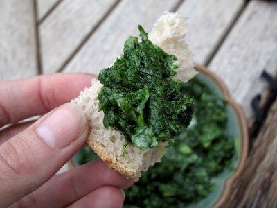 Pesto de fanes de radis