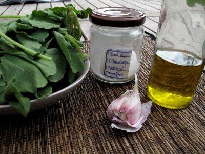 Pesto de fanes de radis