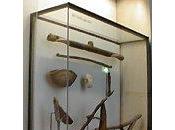 SALLE VITRINE OUTILS AGRICOLES (Deuxième partie) HOUES