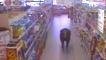 Un taureau dans les allées du supermarché (vidéo)