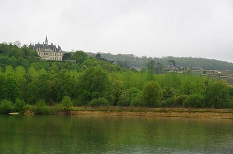 Promenade en bord de Marne avec nos amis de la LPO Terrier d'hirondelle sous le château