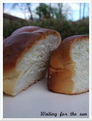 ≈ LES FIDJETTES : PAINS AU LAIT EXCELLENTISSIMES ≈