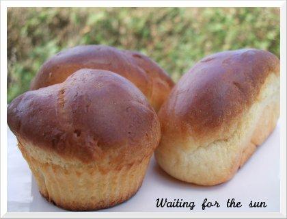 ≈ LES FIDJETTES : PAINS AU LAIT EXCELLENTISSIMES ≈