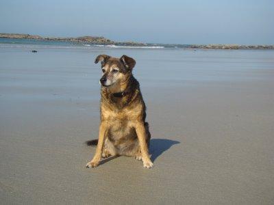 Plage de Yann Ar biz