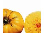 Sauvegarder patrimoine vegetal faire connaitre public