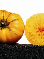 Sauvegarder le patrimoine vegetal et le faire connaitre au public