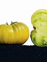 Sauvegarder le patrimoine vegetal et le faire connaitre au public