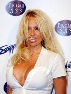 Pamela Anderson photos sexy de son décolleté