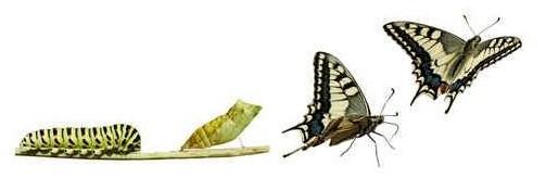 Le Blog change de look !