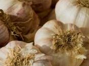 voleurs tentent camoufler reptiles avec l'ail