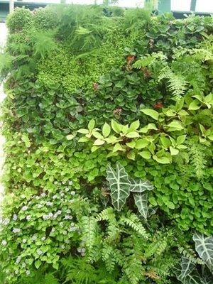 Mur végétal pour les serres d'Auteuil