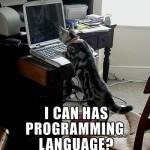 Les chats qui savent programmer
