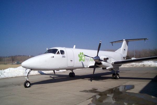 Pet Airways fait voyager vos animaux de compagnie