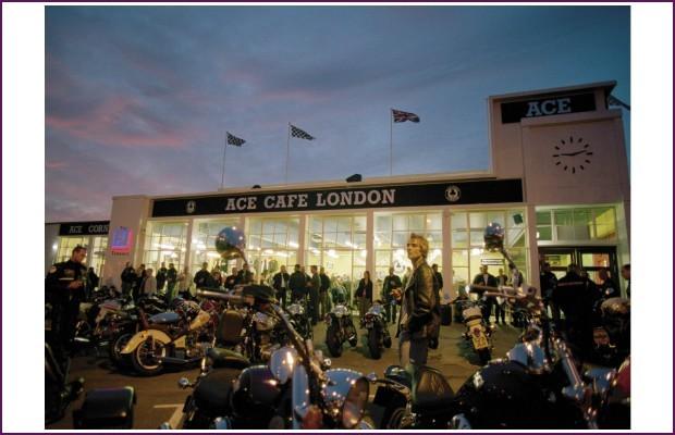 Ace at Twilight © Hazel Thompson