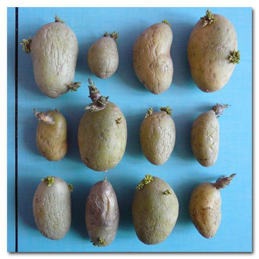 Inventaire Alimentaire |004|005|006|007|