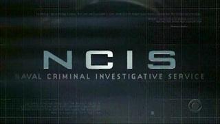 Spin Off de NCIS : le casting en photo