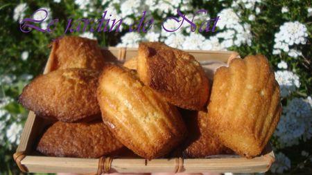 madeleines_citron