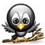 Emoticon_oiseau