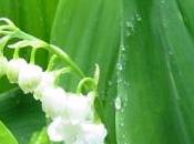 mois syndicats européens