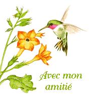 N'ETEIGNEZ PAS LA FLAMME !!!