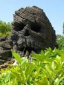 Amazon casse un partenariat à cause d'extraits de musique en P2P