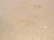 La poétesse Ursula Askham Fanthorpe est décédée