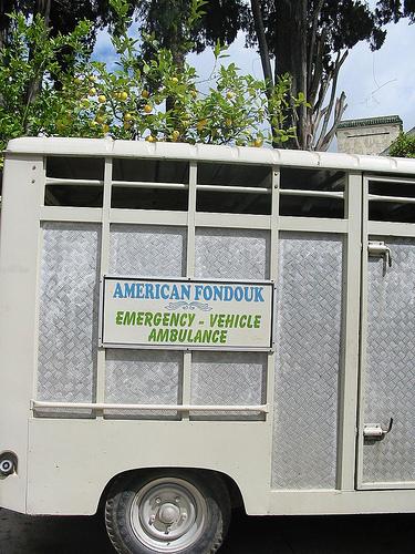 L'American Fondouk de Fès : un hôpital pour les animaux