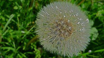 Se suffire à soi même