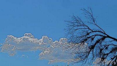 Se suffire à soi même