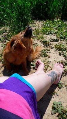 Se suffire à soi même