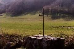 LES CHEVRES DE CAMPIS campis.jpg