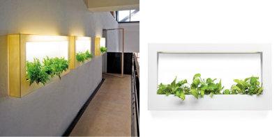 Jardinière murale par Fabio Bortolani